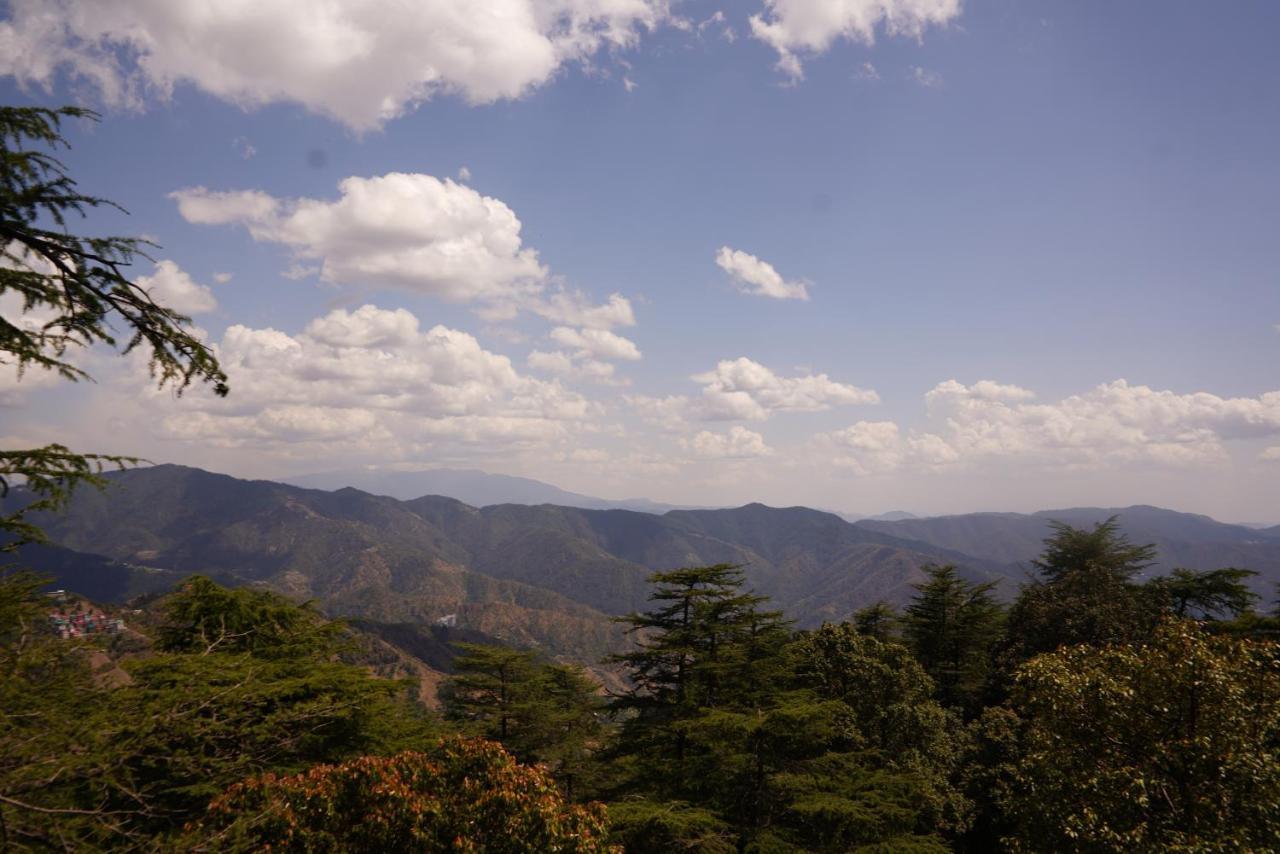 Jakhu Vibes Shimla Ngoại thất bức ảnh